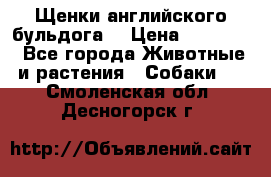 Щенки английского бульдога  › Цена ­ 60 000 - Все города Животные и растения » Собаки   . Смоленская обл.,Десногорск г.